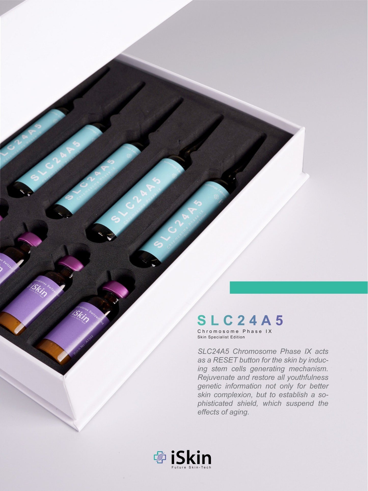 SLC24A5 Chromosome Phase IX Skin Specialist Edition