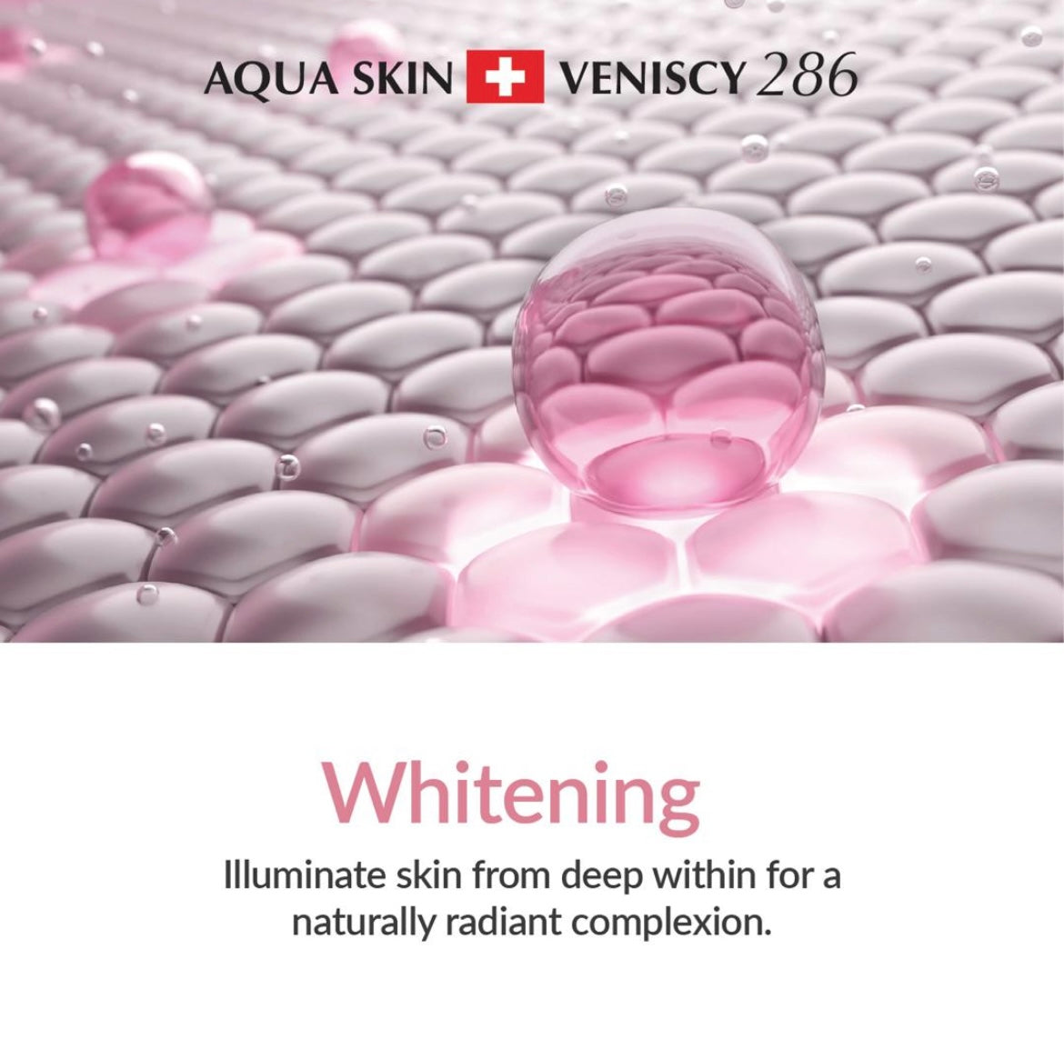 NEW Aqua Skin Veniscy 286