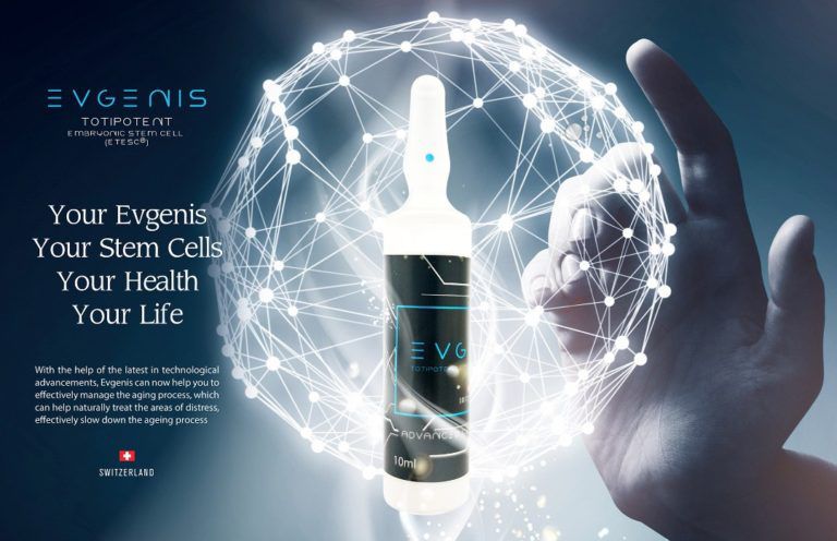 Evgenis Totipotent Embryonic Stem Cell